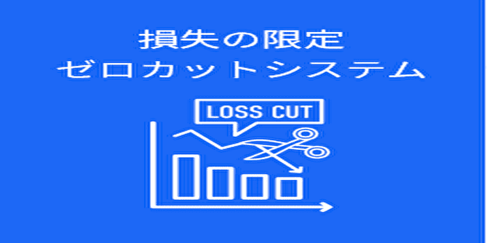 ゼロカットシステムがあるので大損するリスクは少ない